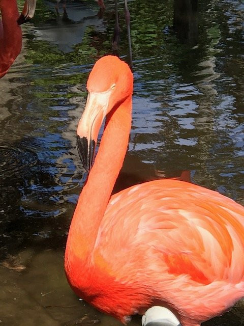 The Wonder Gardens-博尼塔斯普林斯必去景点