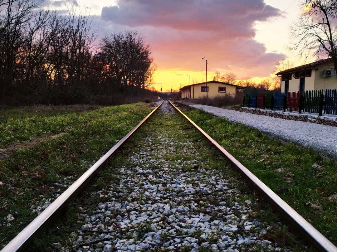 Vyroneia Train Station景点图片