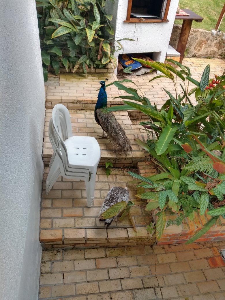 Moradas da Silveira Pousada-官方