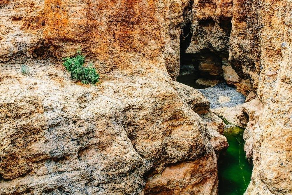 Across Africa Tours LLC-赛斯瑞必去景点