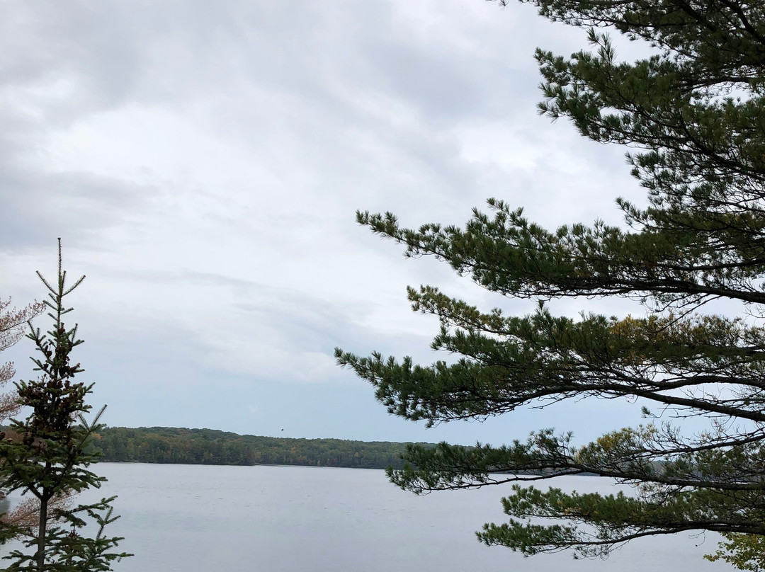 Bark Lake Leadership & Conference Centre景点图片