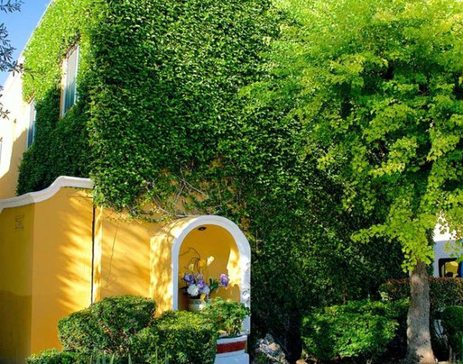 Best Western Saltillo主图