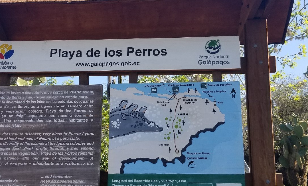 Playa de los Perros景点图片