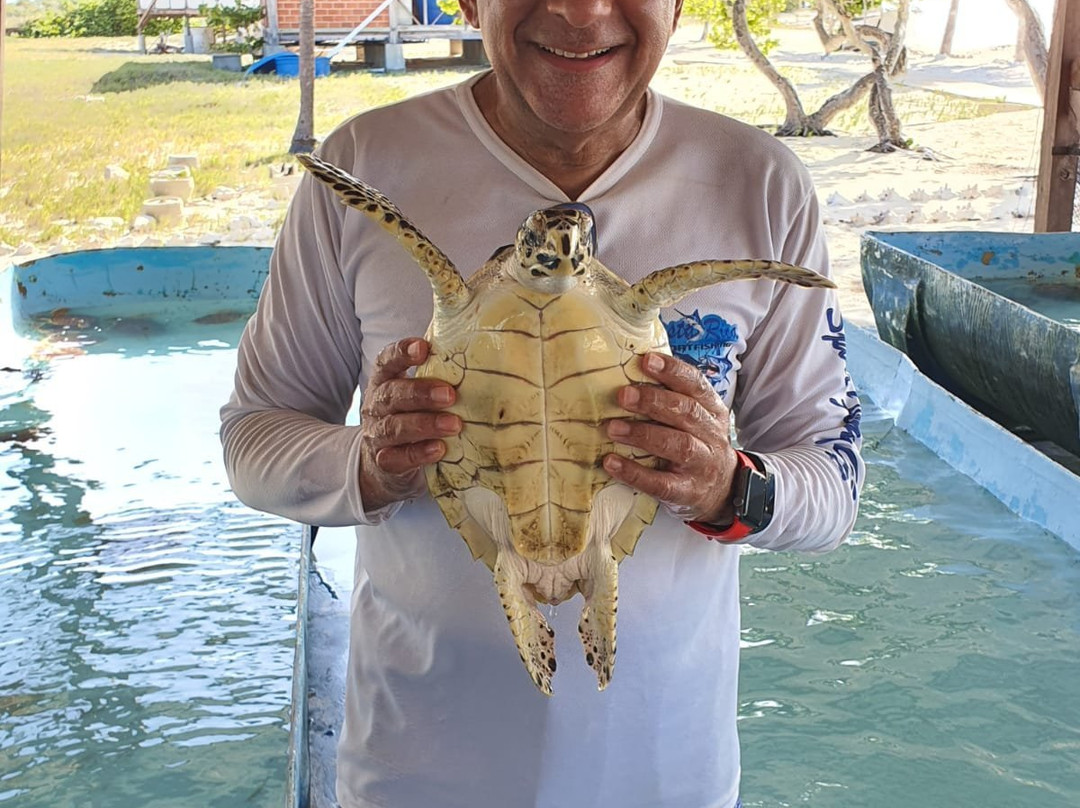 卡约德阿瓜-洛斯罗克斯国家公园必去景点