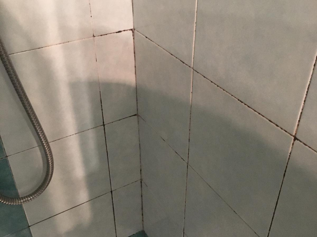 Lady B Bed & Breakfast主图