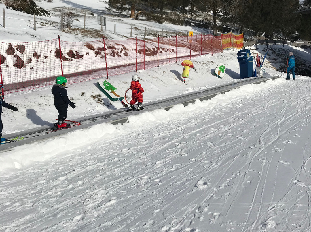 Oberjoch - Familux Resort主图