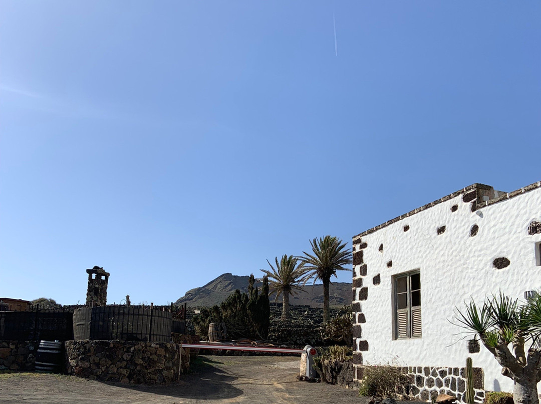 Bodega Los Almacenes -YE-Ye必去景点