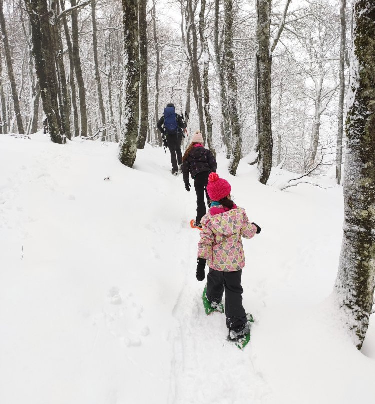 Ma Hotte Balades et Randonnées-La Bresse必去景点