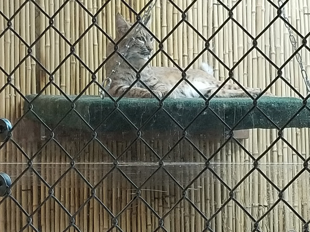 Star Eco Station-卡尔弗城必去景点