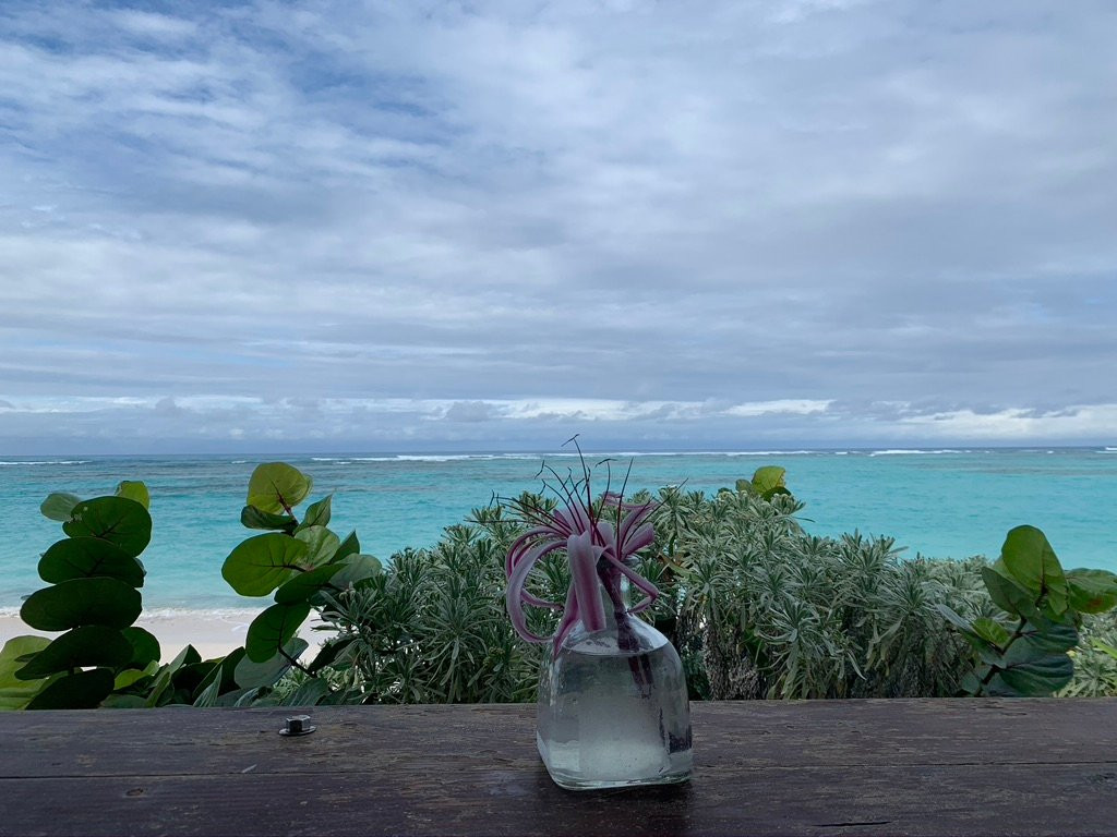 Cow Wreck Beach-Anegada必去景点