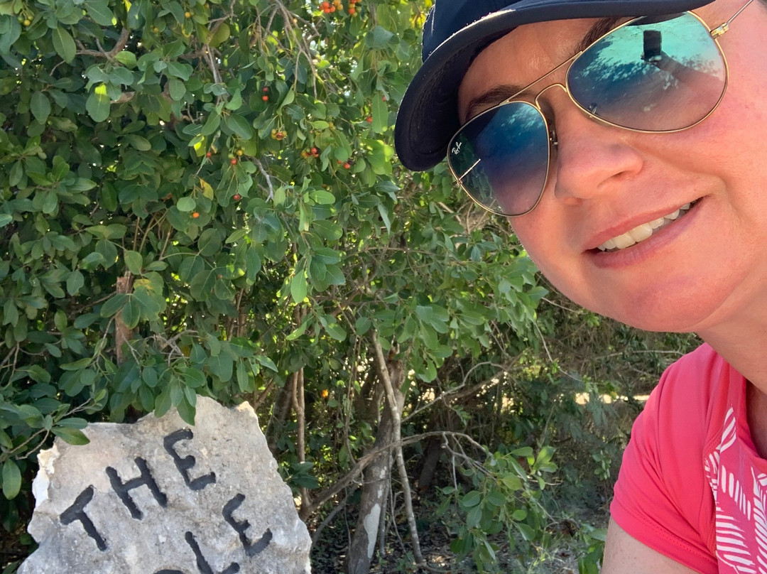 TCI Safari Tours-普罗维登西亚莱斯必去景点