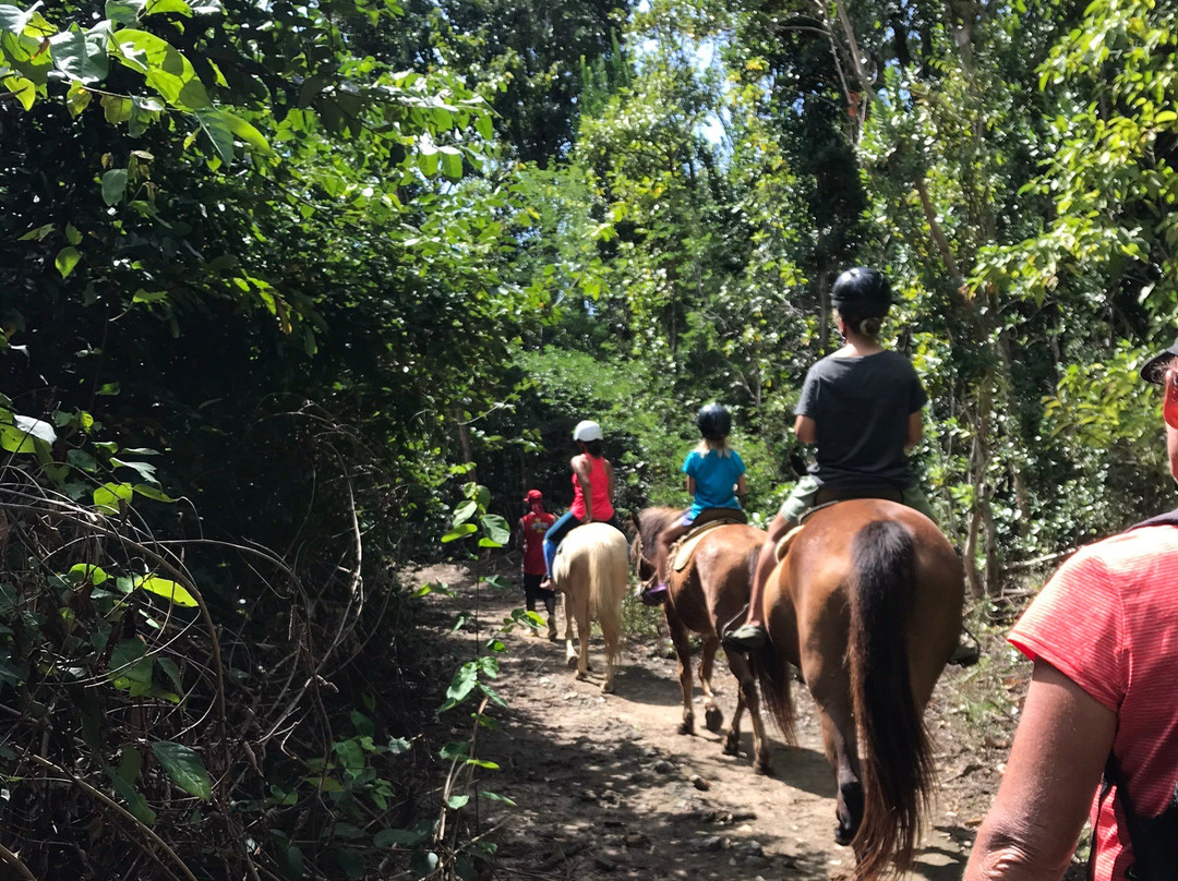 Rainforest Riding-Portsmouth必去景点