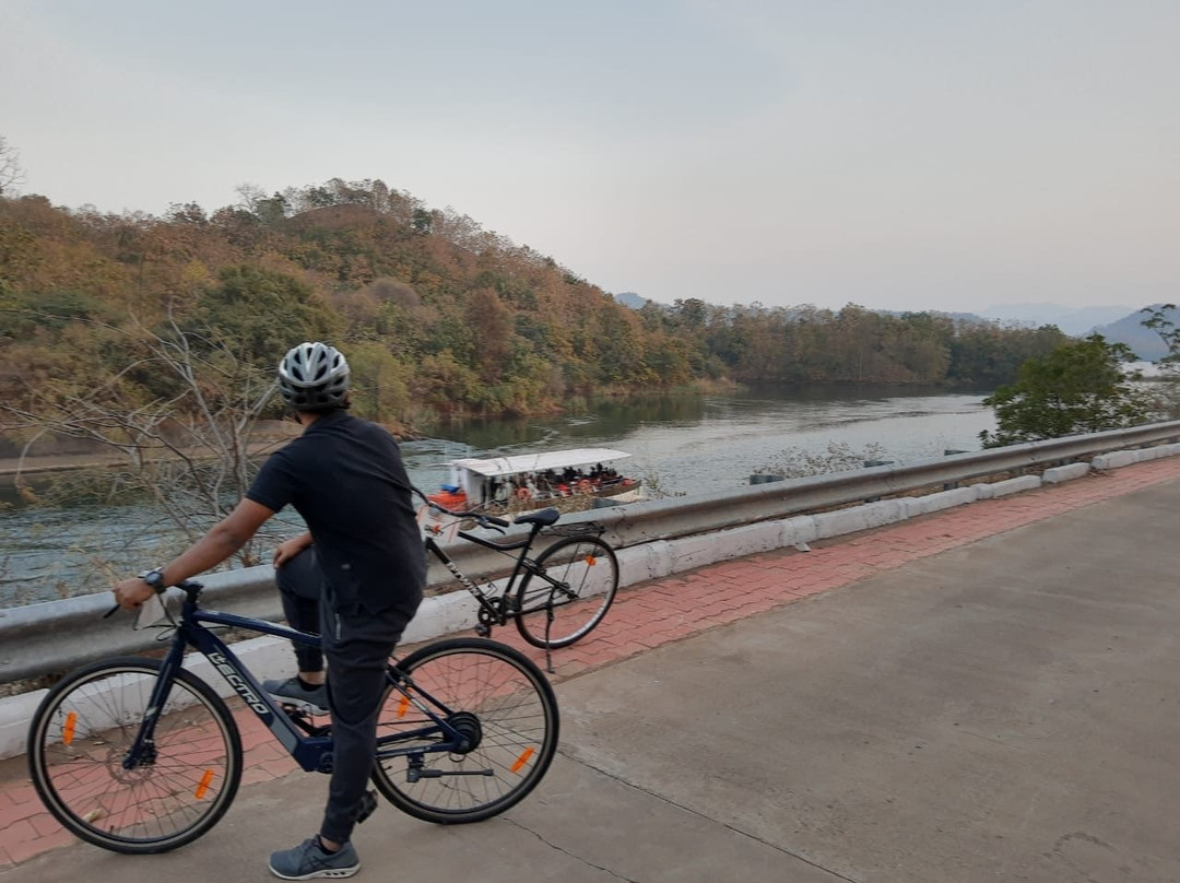 Cycle Tours at Statue of Unity景点图片