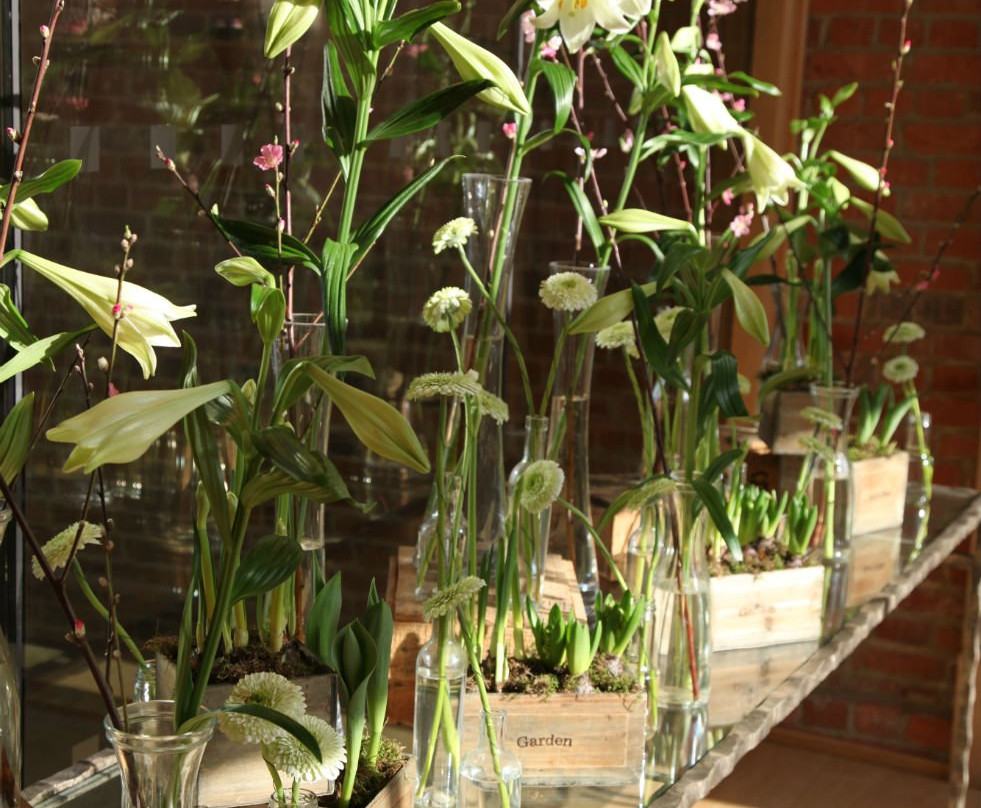 Four Seasons Hotel Hampshire主图