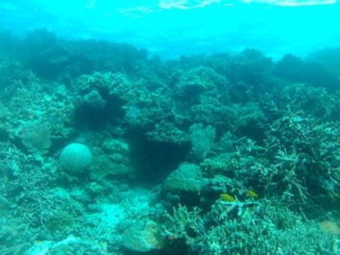 The Blue Abyss Dive Shop-莫阿尔博阿尔必去景点