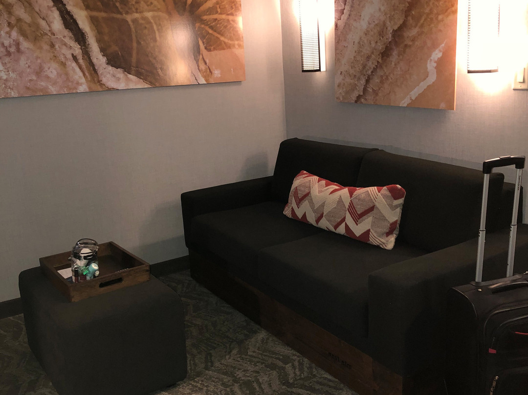 SpringHill Suites by Marriott Indianapolis Airport/Plainfield主图