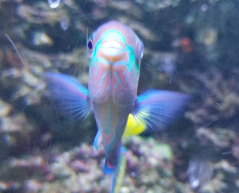Atlantic City Aquarium Historic Gardner's Basin景点图片