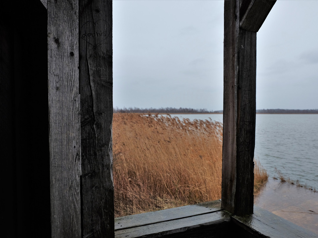 Europäisches Vogelreservat Heerter See-萨尔茨基特必去景点