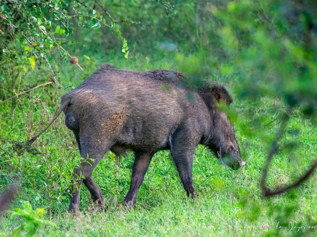 Remarkable Expeditions-凯格勒 必去景点