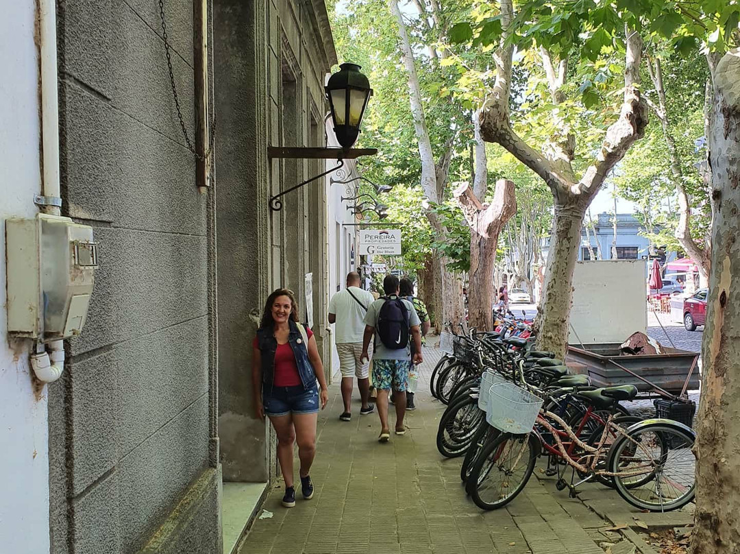 Avenida General Flores-科洛尼亚·德尔萨克拉门托城必去景点