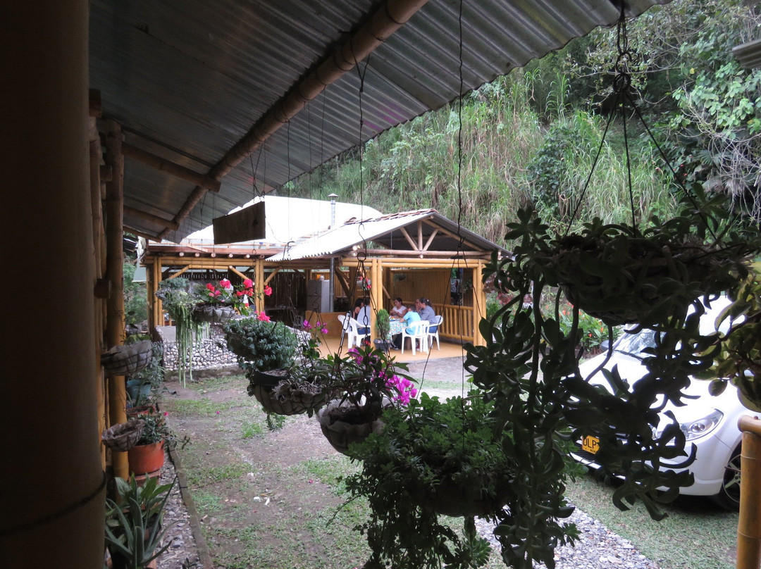 Finca Demostrativa Don Miguel-Villamaria必去景点