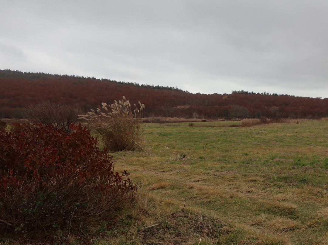 Gudari Swamp-青森市必去景点