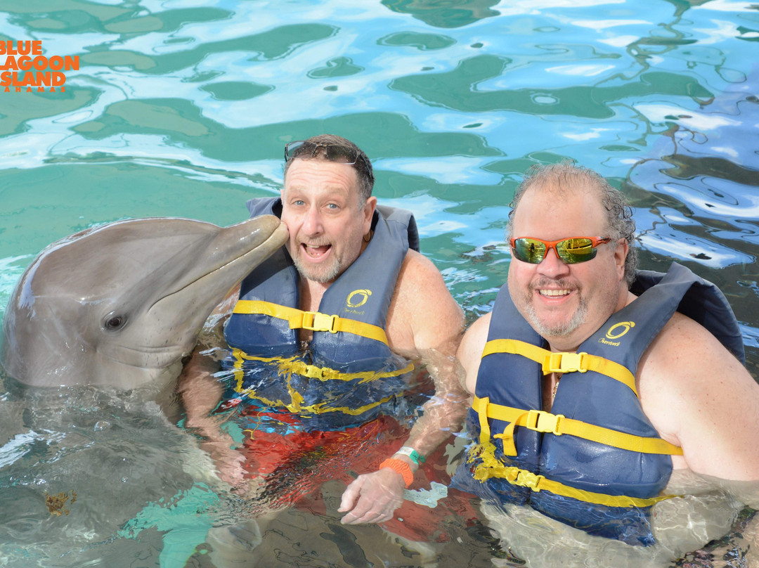 Dolphin Encounters-拿骚必去景点