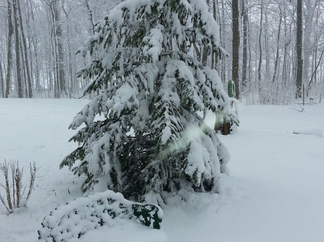 Haisley's Hideaway Bed & Breakfast主图