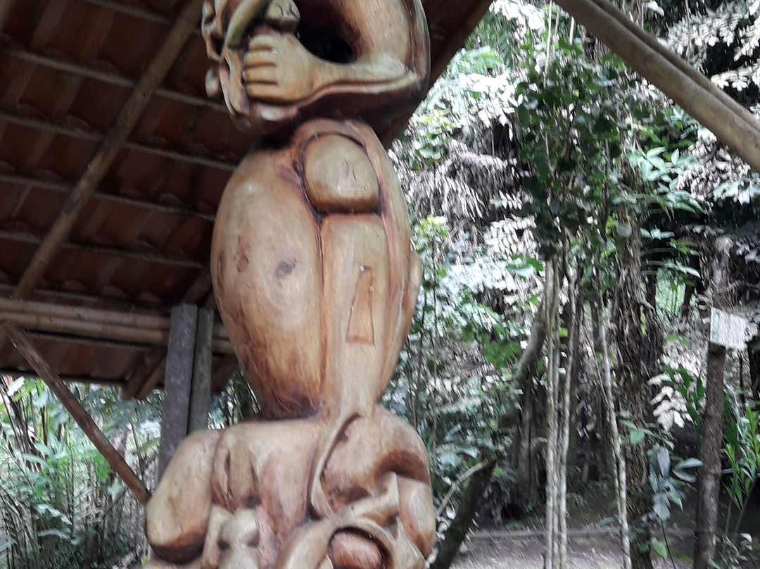 Jardín Botánico San Jorge-Ibague必去景点