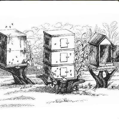 New Quay Honey Farm景点图片