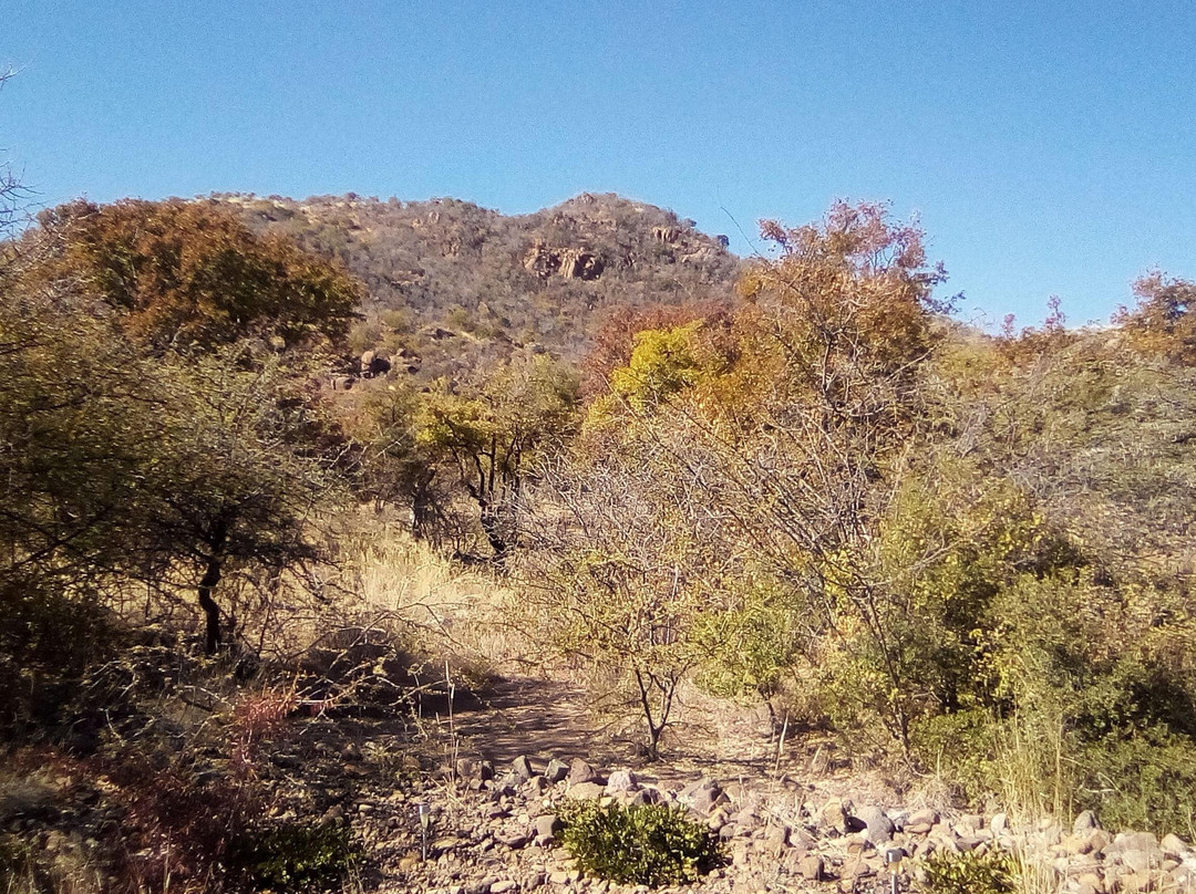 KML Shuttle Services-桑顿必去景点