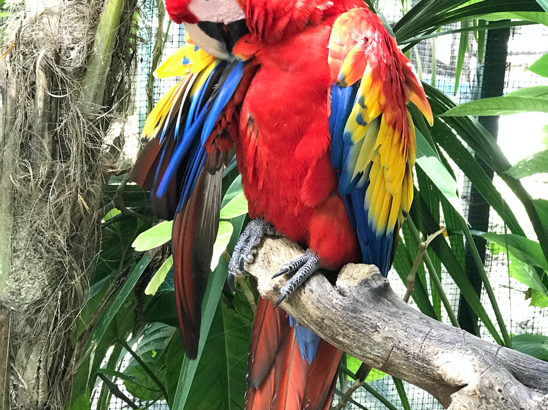 Zoologico Payo Obispo-切图马尔必去景点