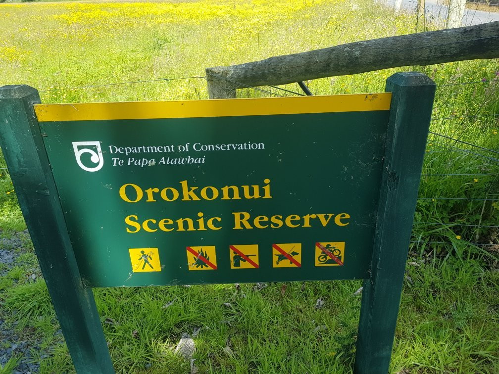 Orokonui Lagoon Walk-Waitati必去景点