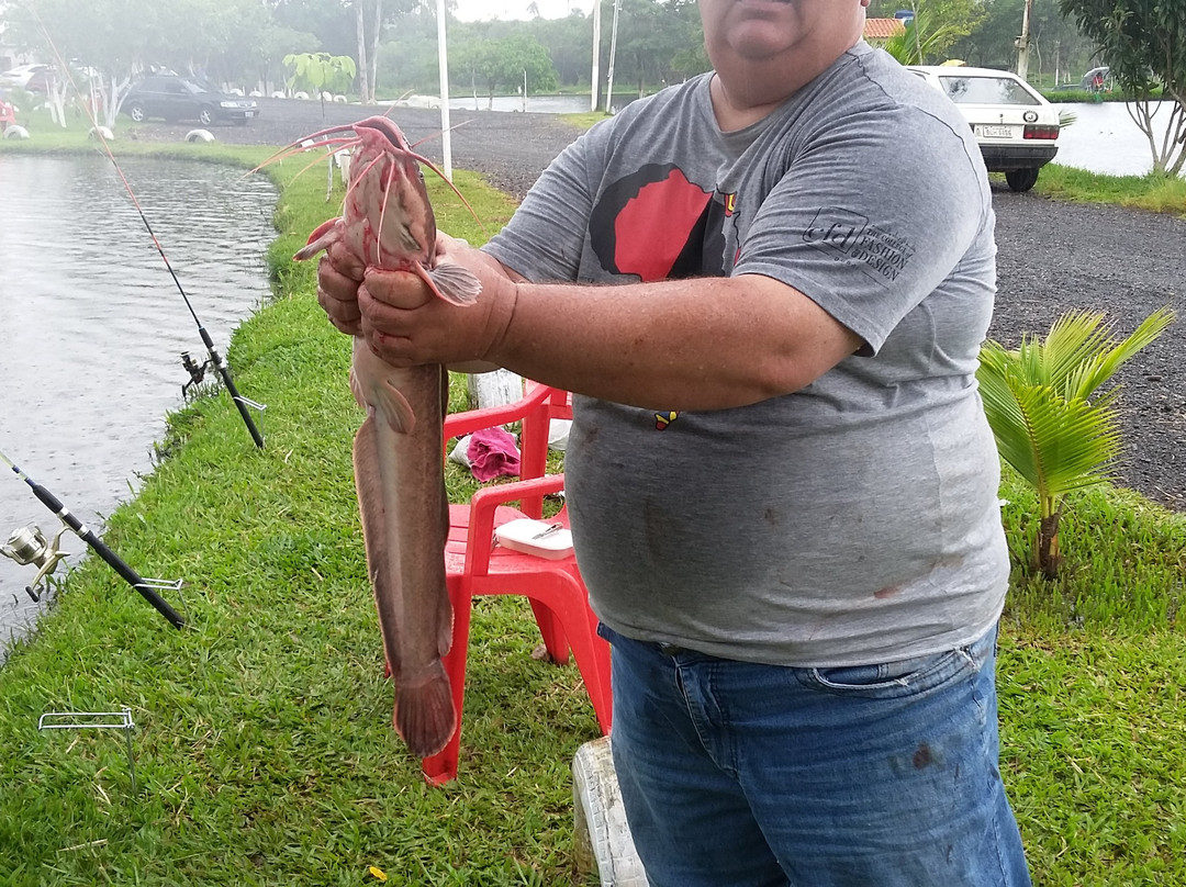 Centro de lazer e Pesqueiro Arco iris-Maria da Fe必去景点