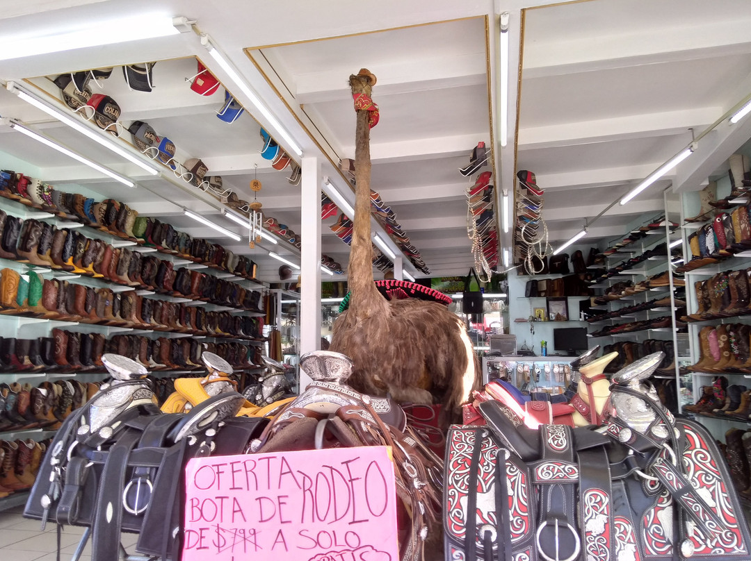 Zona Piel-利昂必去景点