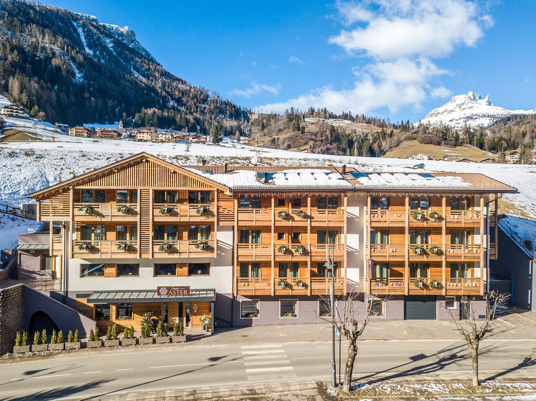 Chalet Aster Hotel主图