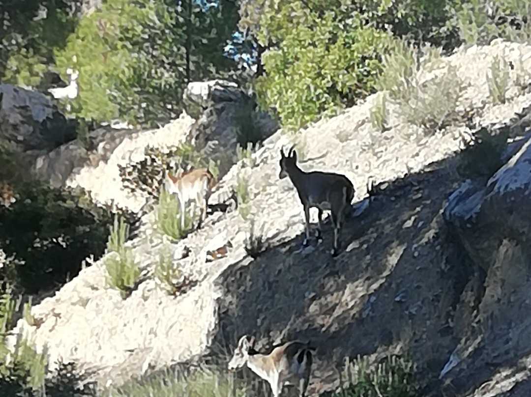 Hotel Raimblanc主图