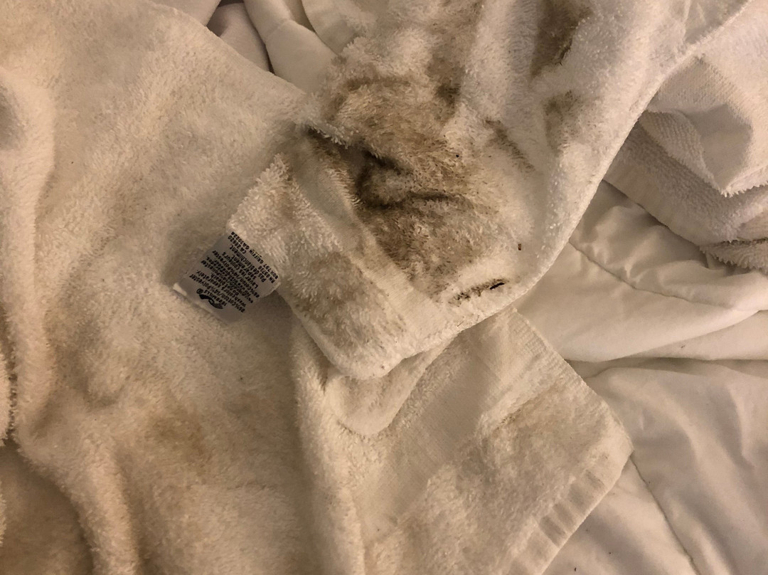 Quality Inn & Suites at Coos Bay主图