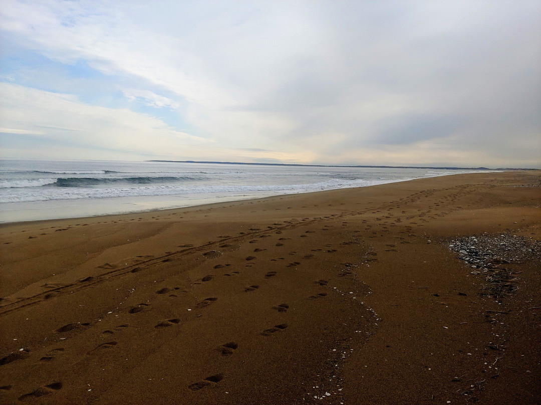 Newbury Beach景点图片