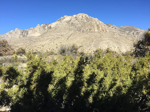 Pine Springs Visitor Center-Guadalupe Mountains National Park必去景点