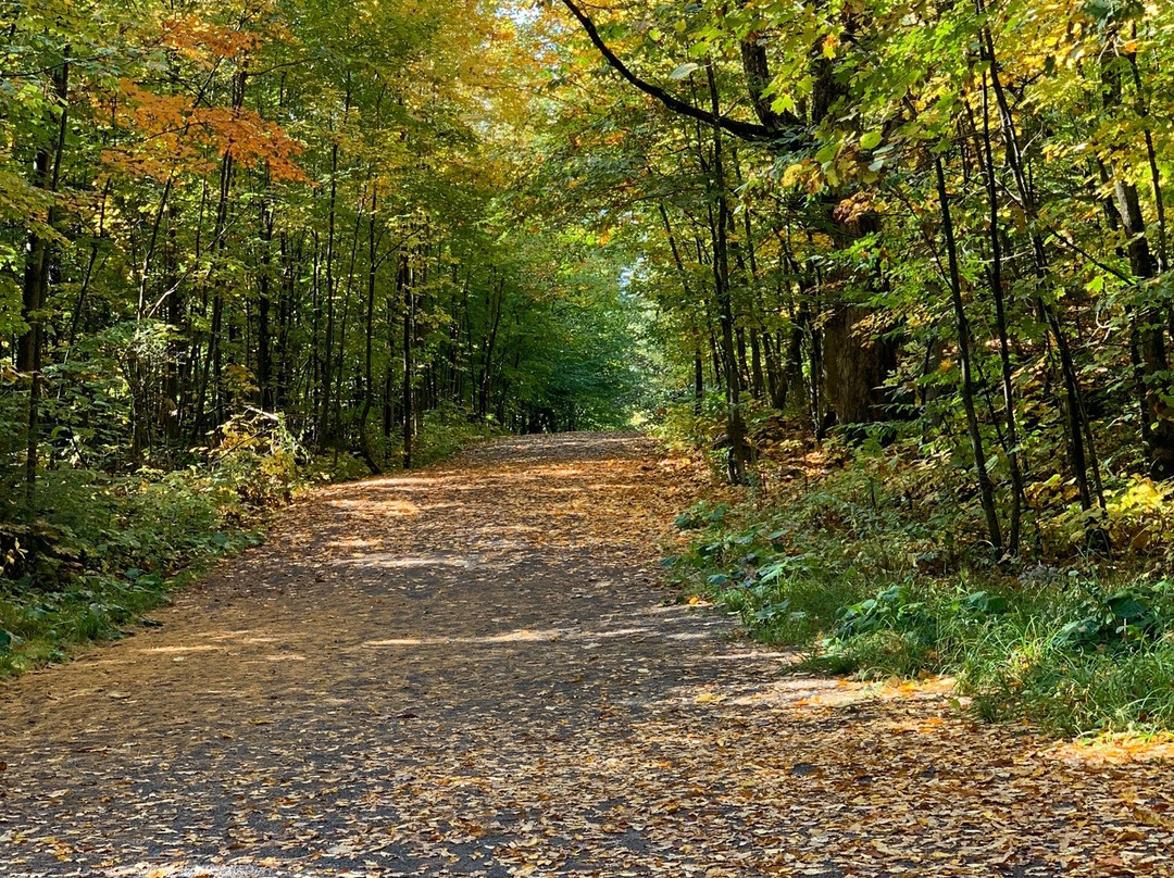 Parc-Nature du Lac Jérôme-Saint Jerome必去景点