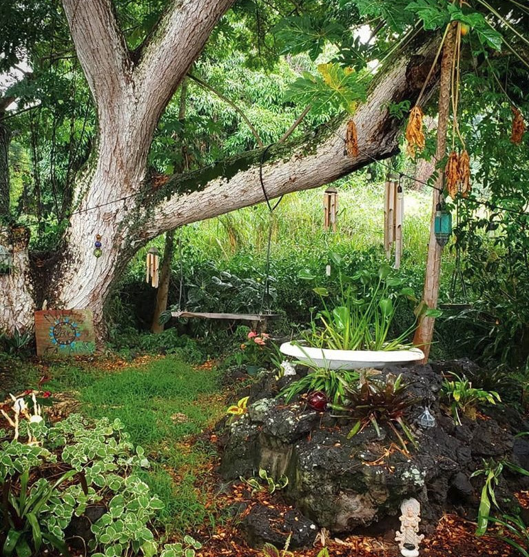 蜻蜓农场-疗伤艺术中心主图