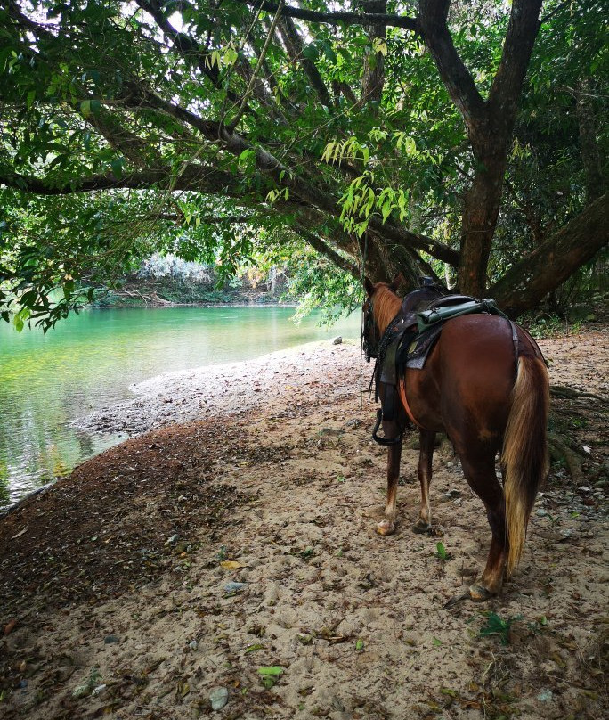 Horseback Panama Adventure Tours景点图片
