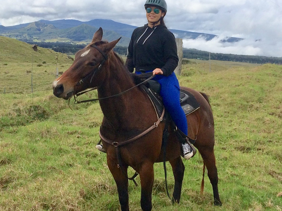 鲁达罗大农场-威可洛亚必去景点