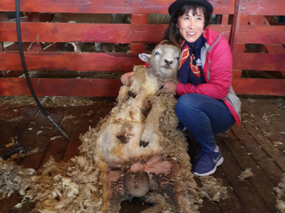 Fundo don Gerardo-Coyhaique必去景点