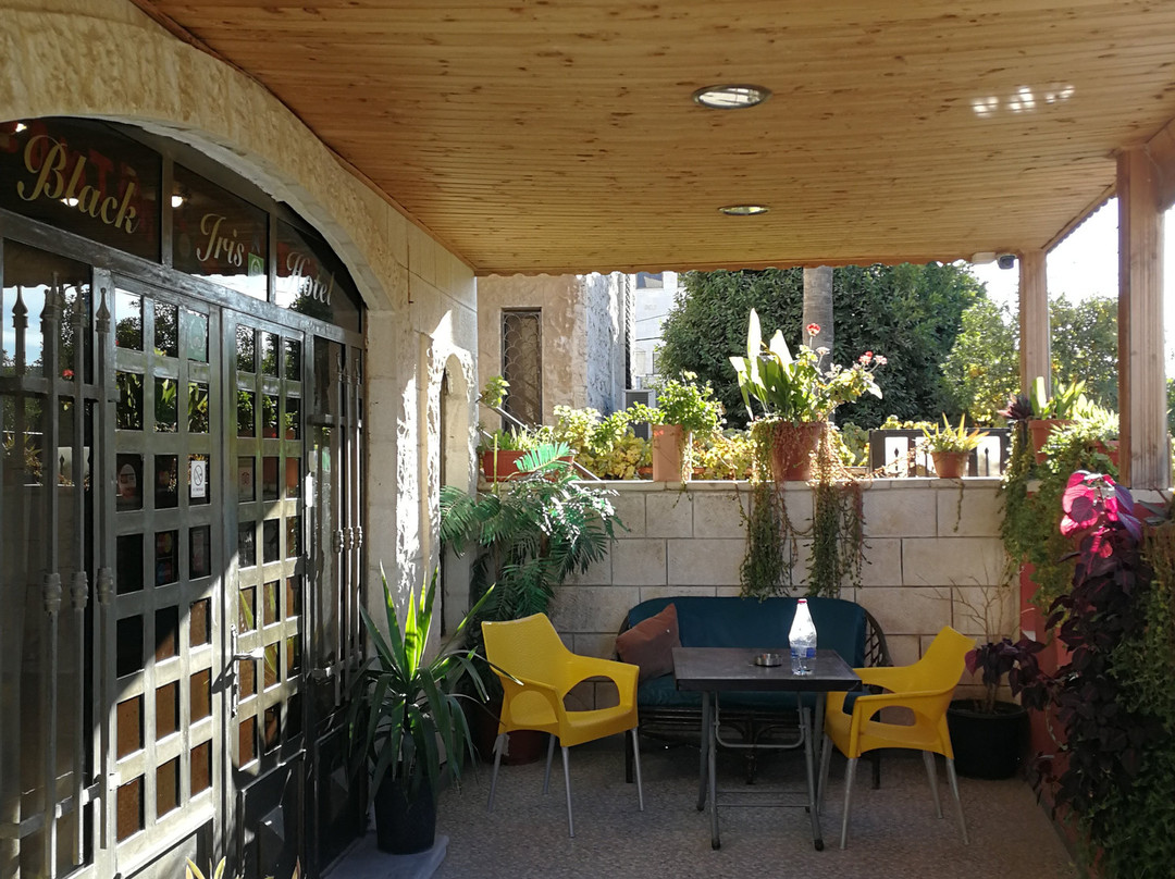 Black Iris Hotel主图