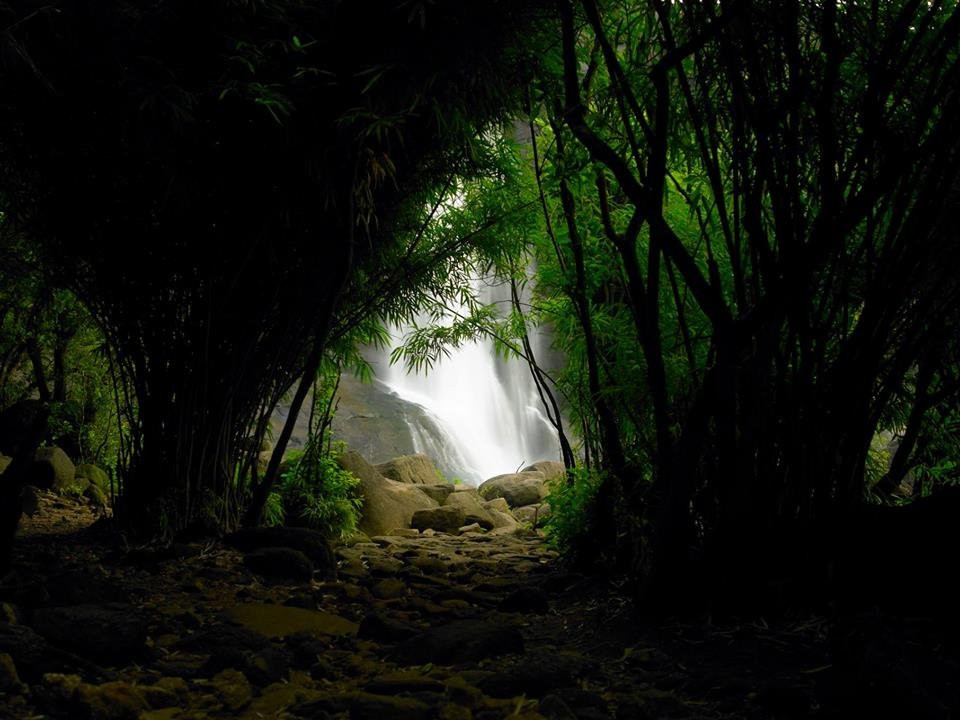 Trip My Kerala-柯钦必去景点