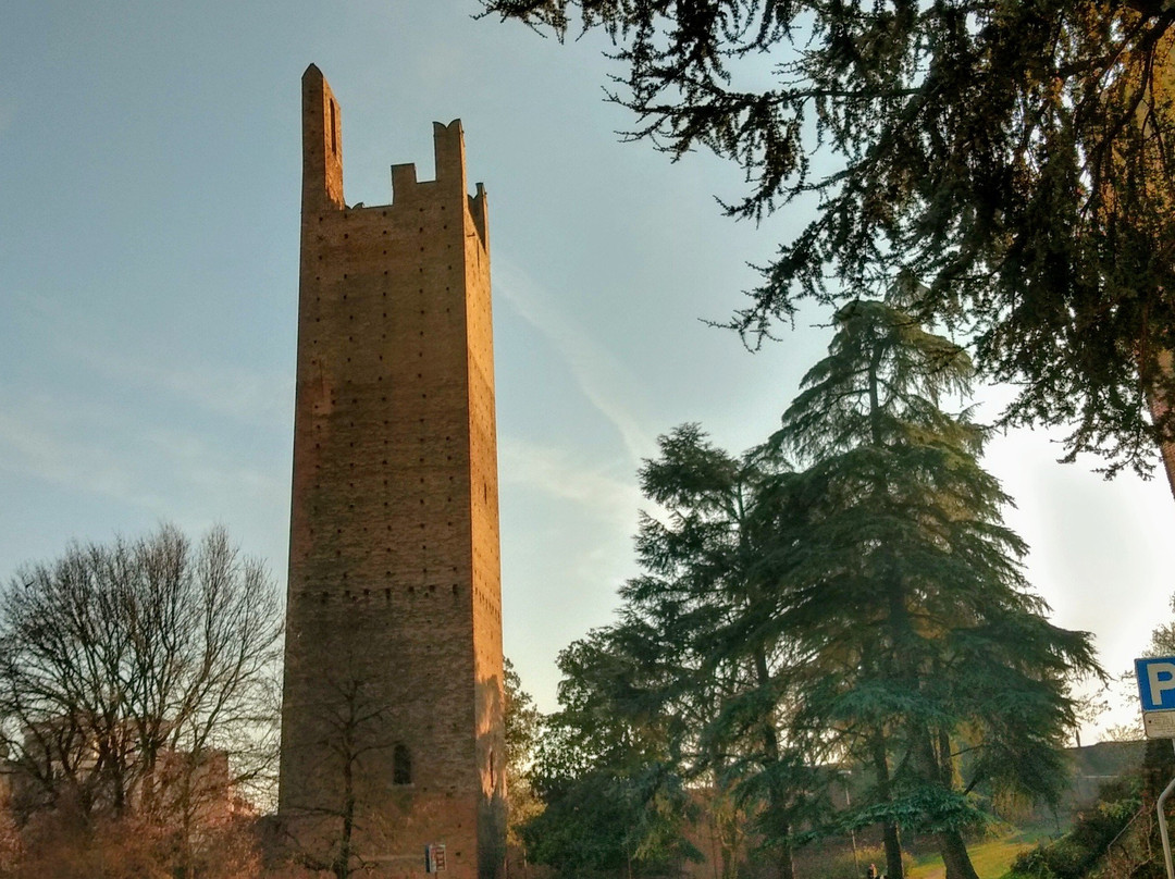 Torri del Castello medioevale景点图片