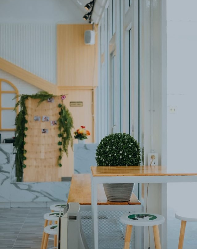 Bla Bla Boo-挽巴茵必去景点