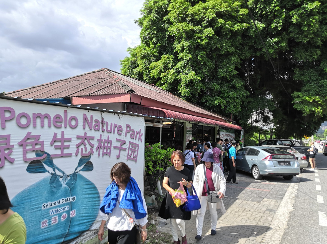 Go Chin Pomelo Nature Park景点图片